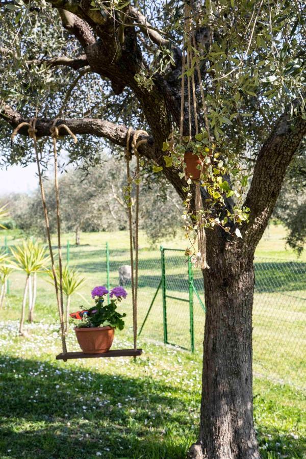 Casa Vacanze Oleandri Villa Ameglia Exterior photo